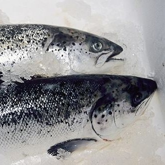新發(fā)地三文魚案板檢測出新冠病毒，，北京多家超市連夜下架三文魚，北京新增三個病例